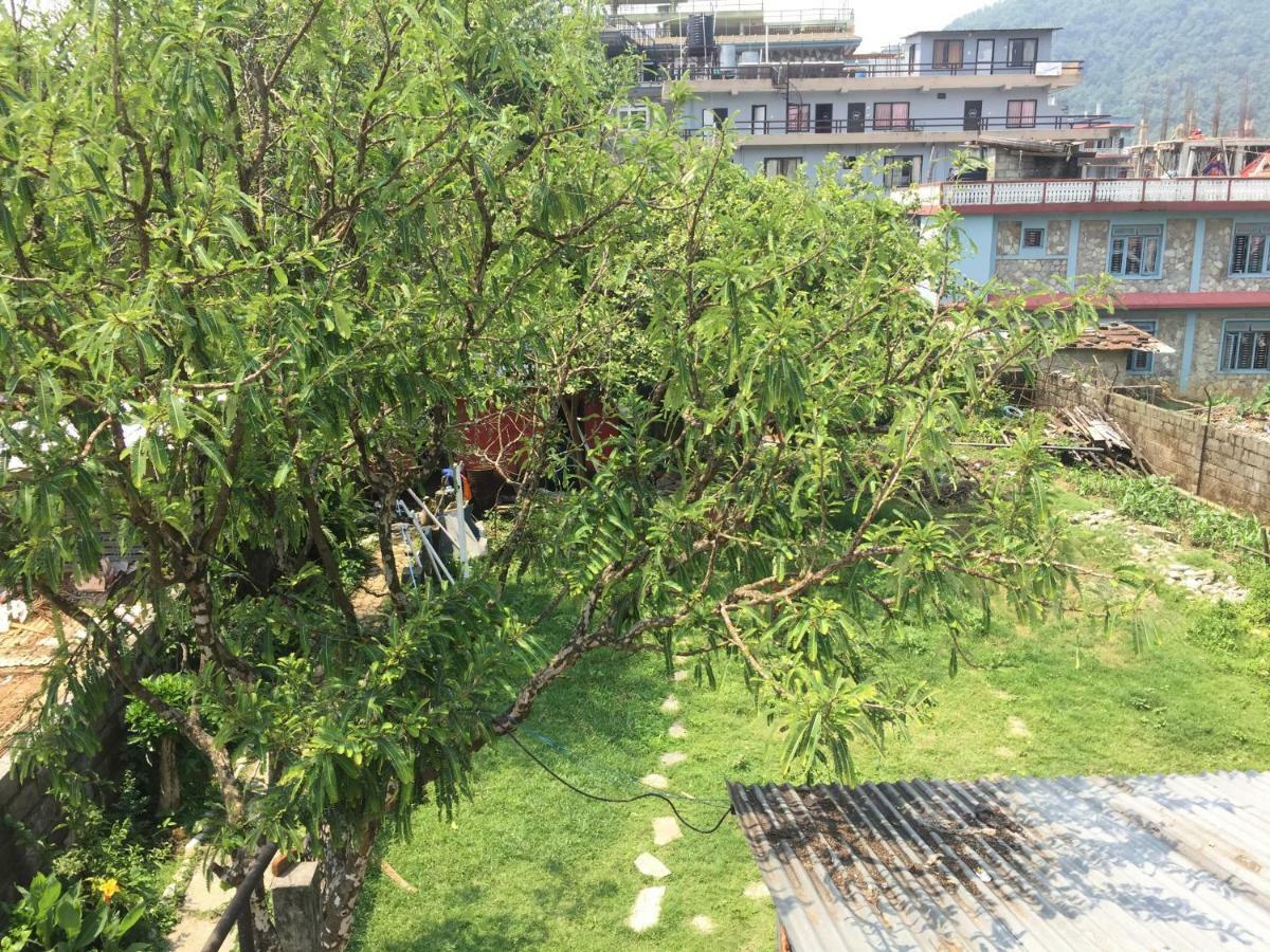 Nepalaya Eco Hostel Покхара Экстерьер фото